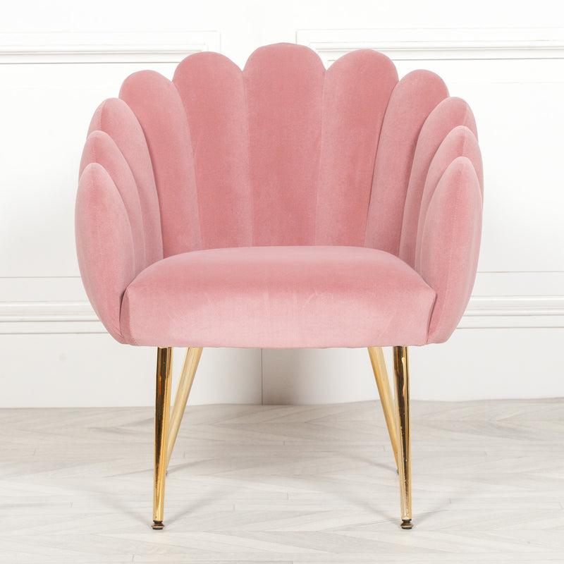 Pink chair cocktail chair  furniture stores uk armchairs for sale armchairs uk armchair uk Homebase Sophia Scallop Occasional Chair