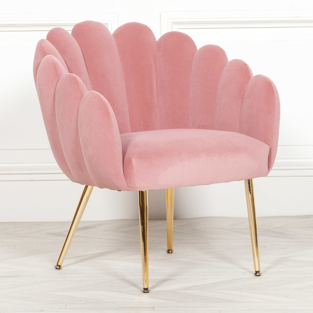 accent chair pink cocktail chair pink velvet chair  furniture stores uk armchairs for sale armchairs uk armchair uk shell chair pink uk Homebase Sophia Scallop Occasional Chair